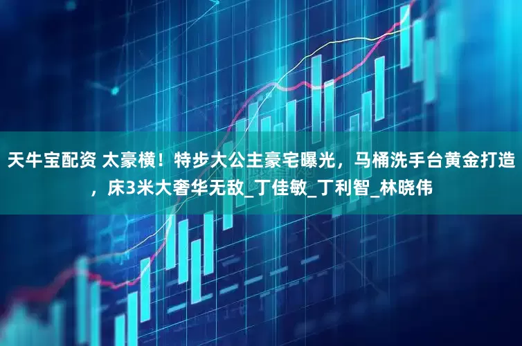 天牛宝配资 太豪横！特步大公主豪宅曝光，马桶洗手台黄金打造，床3米大奢华无敌_丁佳敏_丁利智_林晓伟