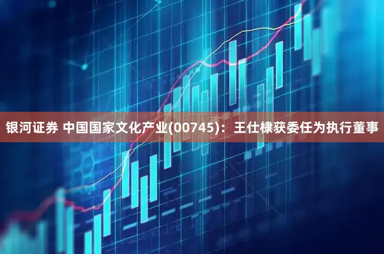 银河证券 中国国家文化产业(00745)：王仕棣获委任为执行董事