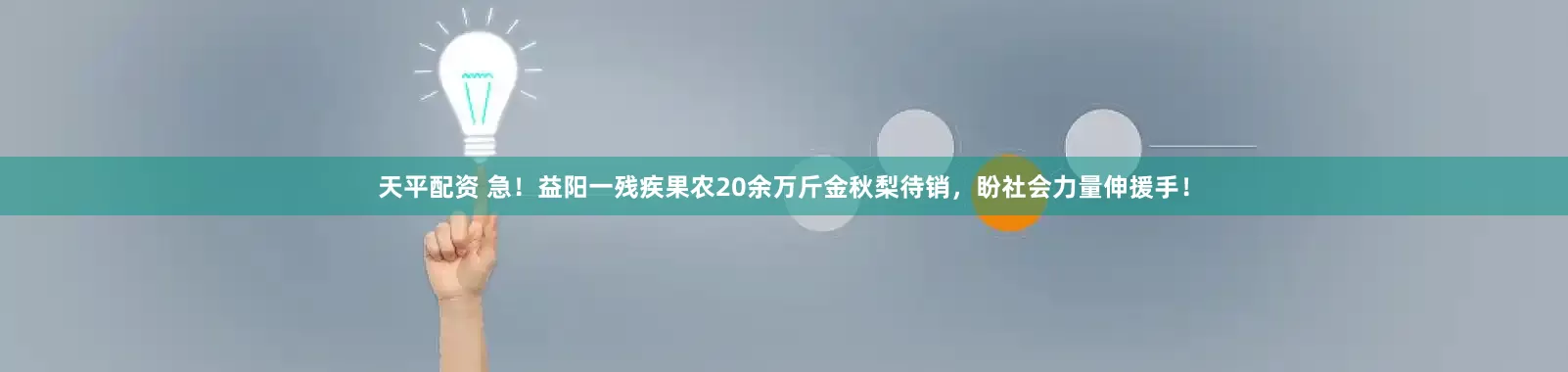 天平配资 急！益阳一残疾果农20余万斤金秋梨待销，盼社会力量伸援手！