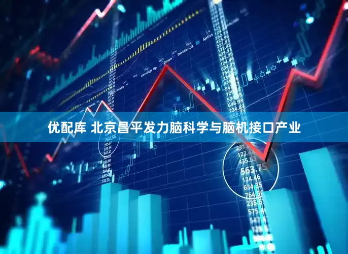 优配库 北京昌平发力脑科学与脑机接口产业
