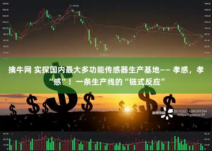 擒牛网 实探国内最大多功能传感器生产基地—— 孝感，孝“感”！一条生产线的“链式反应”